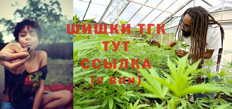 Марихуана THC 21%  купить   KRAKEN ССЫЛКА  Зарайск 